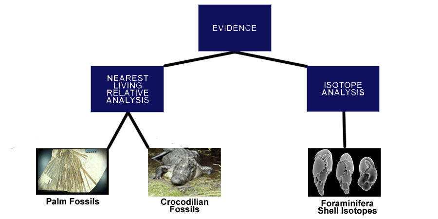 Evidence Tree