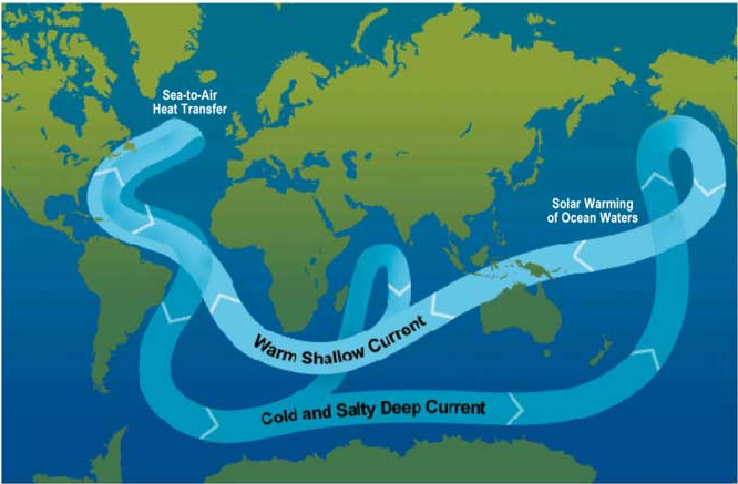 Thermohaline Circulation